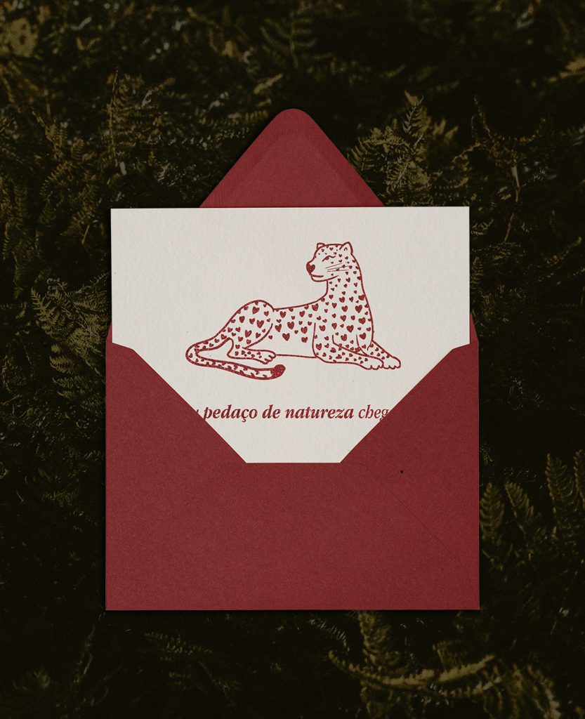 da terra card onca mockup background v2